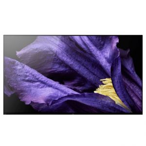 TV SONY Bravia KD-65AF9 3J Garantie